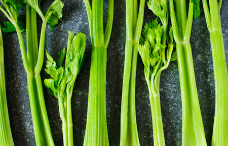 Fresh celeryの写真素材