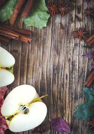 Autumn frame wth apple, cinnamon stick, star anise and clove, copy space, top viewの写真素材