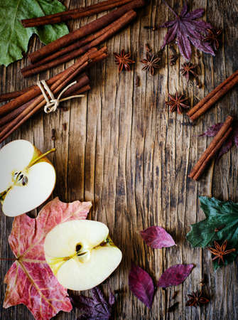 Autumn frame wth apple, cinnamon stick, star anise and clove, copy space, top viewの写真素材