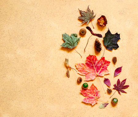 Autumn composition. Pattern made of autumn leaves, pine cones and acorns. Flat lay, top view, copy spaceの写真素材