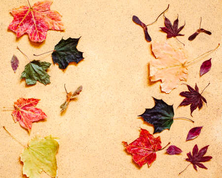 Autumn composition. Pattern made of autumn leaves. Flat lay, top view, copy spaceの写真素材