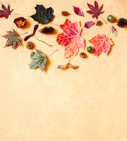 Autumn composition. Pattern made of autumn leaves, pine cones and acorns. Flat lay, top view, copy spaceの写真素材