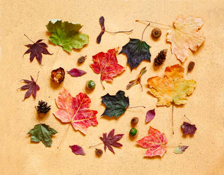 Autumn composition. Pattern made of autumn leaves, pine cones and acorns. Flat lay, top viewの写真素材