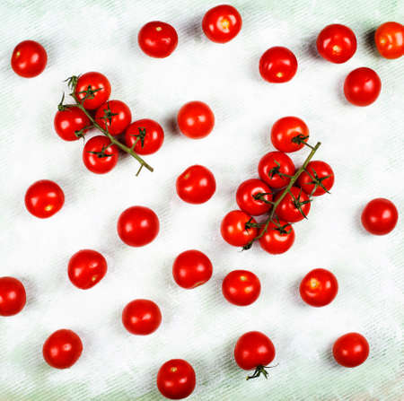 Fresh tomatoes on light green background, top viewの写真素材