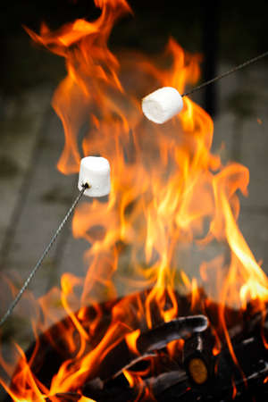 Delicious and sweet marshmallows on stick over the bonfireの写真素材