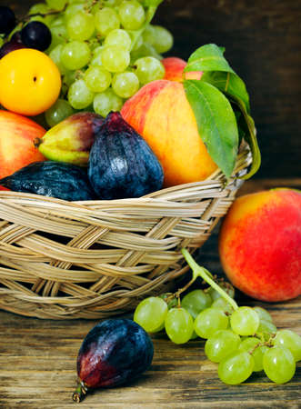 Autumn fruitsの写真素材