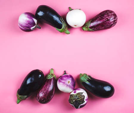 Fresh raw eggplants of different color and variety on a pink background, top view, copy spaceの写真素材