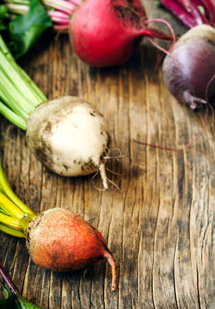 Fresh organic beetroots of different varietiesの写真素材