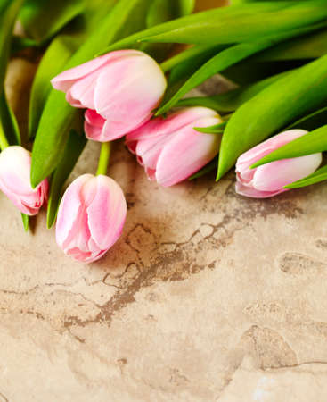 Spring tulips on stone background, copy spaceの写真素材