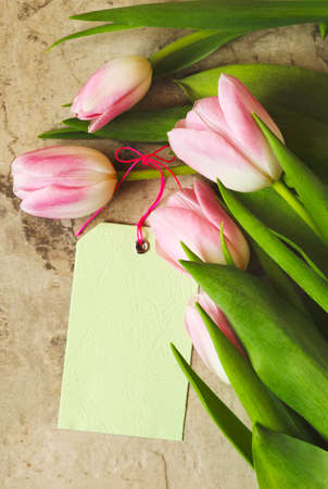 Springtime background with pink tulips and tag, copy spaceの写真素材