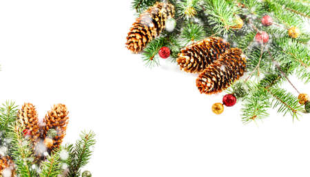 Christmas background with spruce branches and pine cones on white background. Christmas cardの写真素材