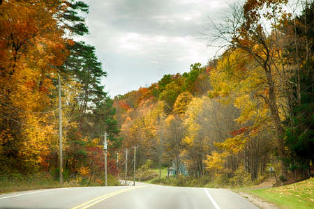 Road in a beautiful colorful autumn forest, Pennsylvania, USAの写真素材