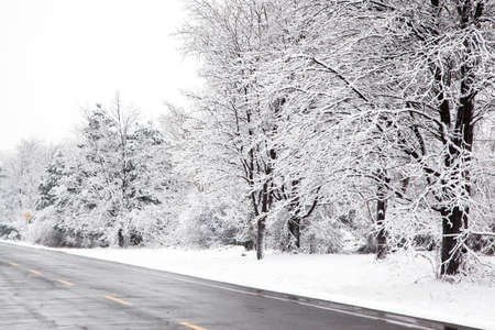 Winter road at snow day, Ontario, Canada. Beautiful winter landscapeの写真素材