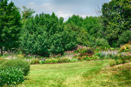Colorful summer garden. Ontario, Canadaの写真素材