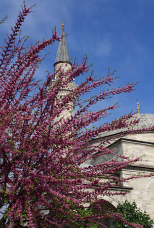 beautiful minarets on background of green trees