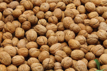 many walnuts