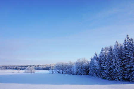 beautiful landscape in winterの写真素材