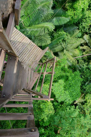 staircase in the jungle, in the tropicsの写真素材