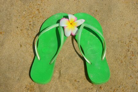 green flip flops on the sand, beachの写真素材