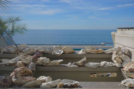 seafood, oysters, shells on the table in the restaurant
