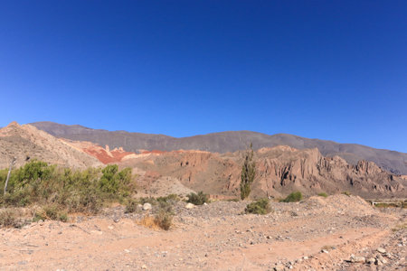 Desert Landscape in Volcan Teide National Park, Tenerife, Canary Island, Spainの写真素材