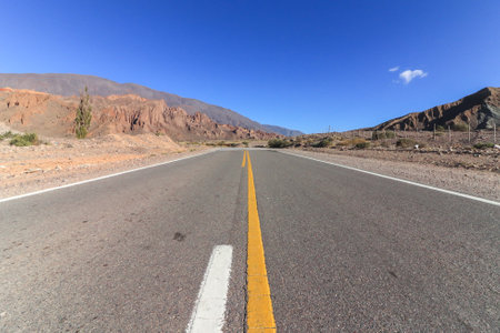 Long Empty Desert Asphalt Roadの写真素材