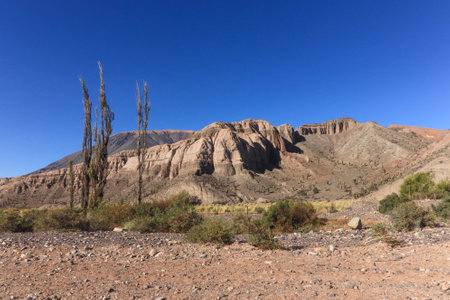 Desert landscape in the Namib-Naukluft National Park, Namibiaの写真素材