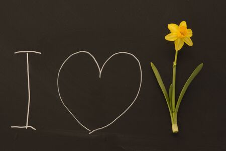 happy easter on blackboardの写真素材