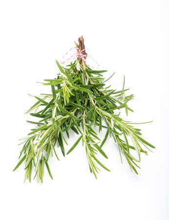 Rosemary on white backbroundの写真素材