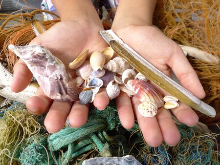 child is holding beautifull shells in both hands