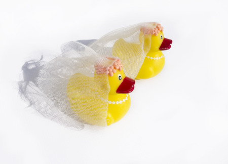 rubber ducky wedding on white backgroundの写真素材