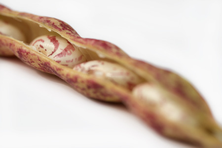 Raw Organic cranberry bean on white backgroundの写真素材