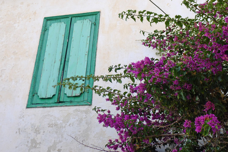 shutter greece, at the beautiful Greek Island, Lesvosの写真素材
