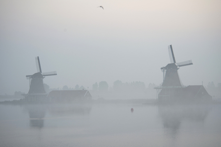 windmills in morning fog the Netherlands, Zaanse Schansの写真素材