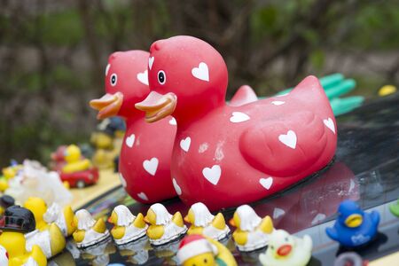 collection of all kinds off rubber ducks on carの写真素材