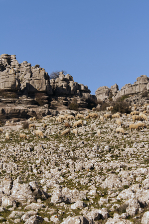 The shape of the stones are made by nature at El Torcal parc Andalusia, Spain