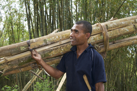 Flores, Indonesia, 02-12-2012. Man carying bamboo in the jungleのeditorial素材