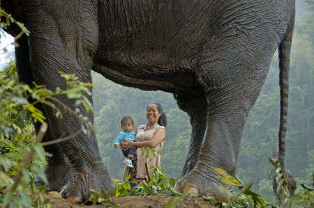 Laos-okt-10. Woman with child is talking to neighbour in the jungle near her house with an elephant in between 31-10-2007のeditorial素材
