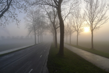 A beautyful misty sunrise in the Netherlandsの写真素材