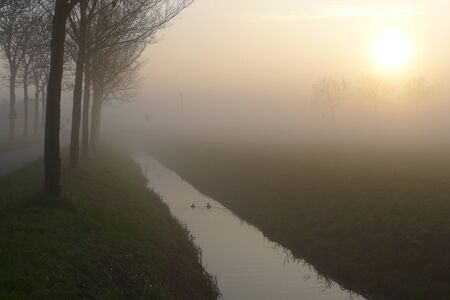 A beautiful misty sunrise in the Netherlandsの写真素材