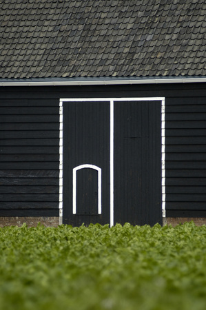 A black an white farmhouse in Zeeland the Netherlandsの写真素材