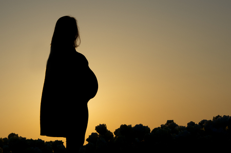 The stunning silhouette of a pregnant woman as she stares off into the distance at twilight.の写真素材