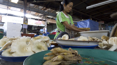 Chiang Mai Thailand 27-May-2011: A woman is working hard at the market in Chiang Mai.のeditorial素材