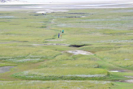 De Slufter a nature reserve on Texel, The Netherlandsの写真素材
