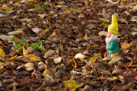 Gnome with yellow pointed hat in Autumn forest. High quality photoの写真素材