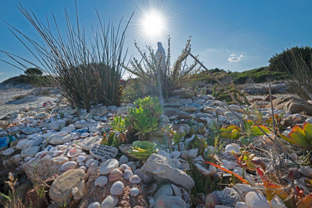 San Teodoro, Sardinia, 17-10-2021-memorial for drowning people.のeditorial素材