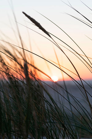 Ameland-The Netherlands-13-08-2022: Beautiful sunset at the dunes and beach.