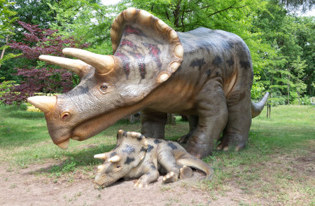 Triceratops with young in a natural environment.の写真素材