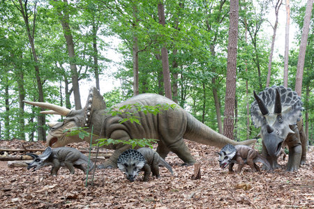 Oertijdmuseum-Boxtel-12-06-2022:Triceratops at outside museum, The Netherlandsの写真素材