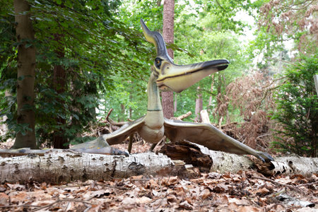 Oertijdmuseum-Boxtel-12-06-2022:Pteranondon in forst museum, The Netherlands.の写真素材